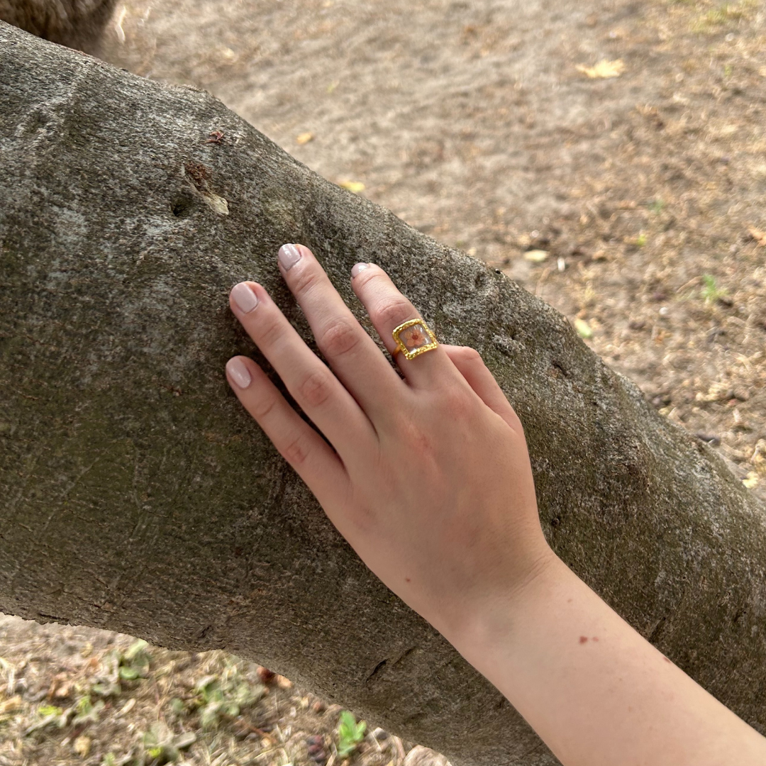 Anillo Papiro Rosa