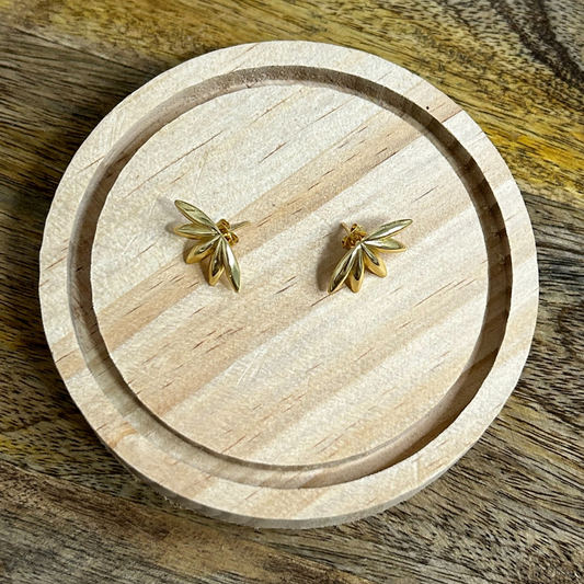 Pendientes Galilea